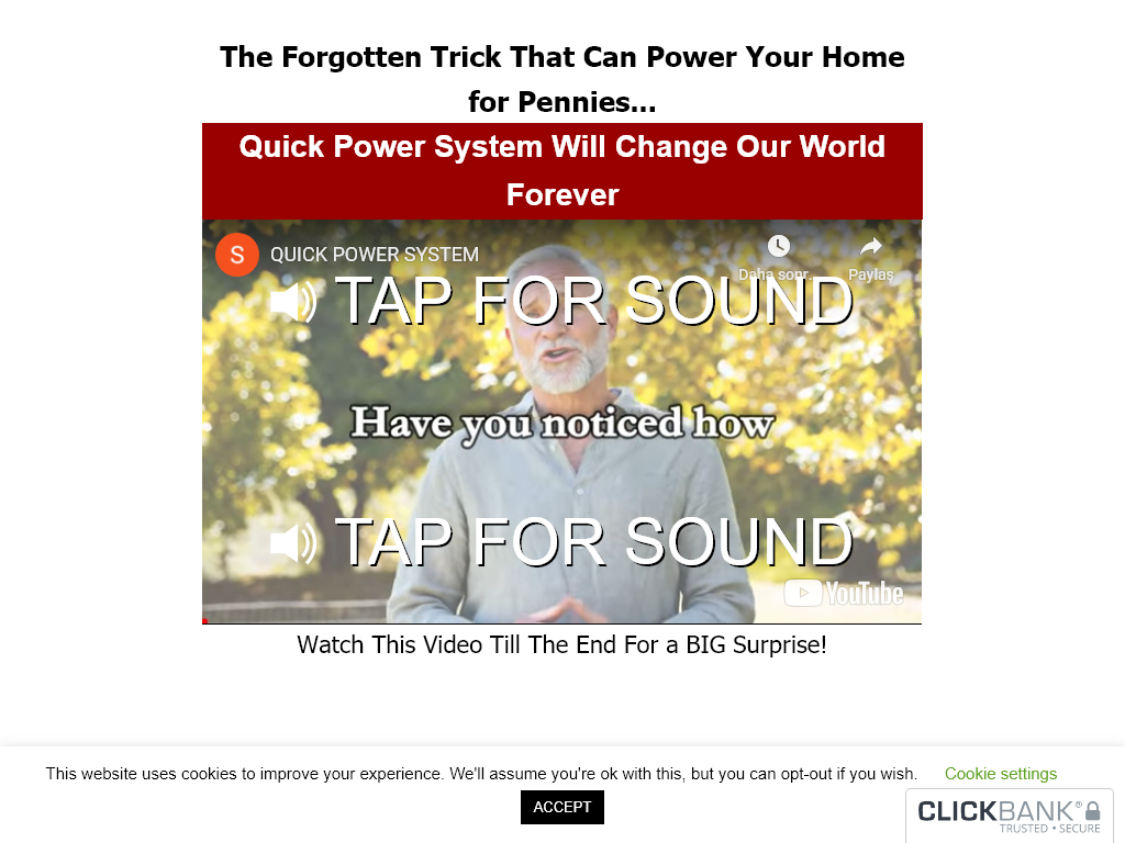 Quick Power System Review